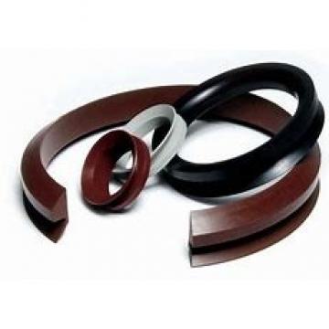 skf 16079 Radial shaft seals for general industrial applications
