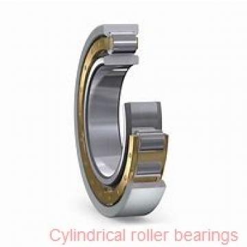 120 mm x 215 mm x 40 mm  NTN N224 Single row cylindrical roller bearings