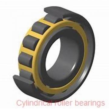 50 mm x 110 mm x 27 mm  NTN N310G1P5 Single row cylindrical roller bearings