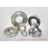 60 mm x 130 mm x 31 mm  NTN N312C3 Single row cylindrical roller bearings